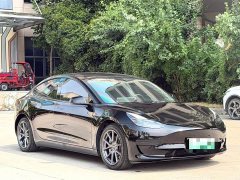 Tesla Model 3 Standard Range RWD Upgrade 3D6 - ფოტო 9