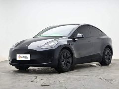 Tesla Model Y Long Range All-Wheel Drive - ფოტო 1