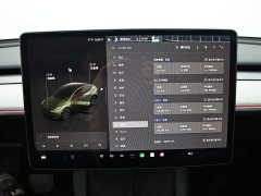 Tesla Model Y Long Range All-Wheel Drive - ფოტო 11