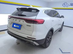 Haval H6 National Trend Edition 1.5T Automatic Urban Version - ფოტო 3