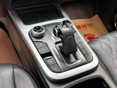 Tank 300 2.0T Challenger - ფოტო 14