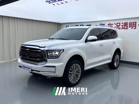 2023 Tank 500 3.0T Sport Landscape 5-Seater - автомобиль из Китая