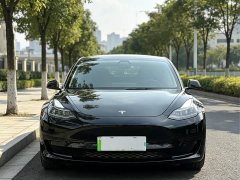 Tesla Model 3 Facelift Standard Range RWD Upgrade 3D1 - ფოტო 2