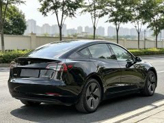Tesla Model 3 Facelift Standard Range RWD Upgrade 3D1 - ფოტო 4