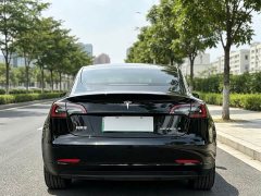 Tesla Model 3 Facelift Standard Range RWD Upgrade 3D1 - ფოტო 5