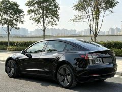 Tesla Model 3 Facelift Standard Range RWD Upgrade 3D1 - ფოტო 6