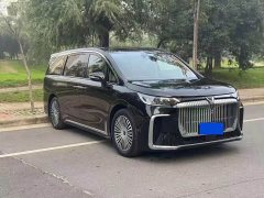 Voyah Lantu Dreamchaser 2025 PHEV AWD Flagship Kunpeng Edition - ფოტო 3
