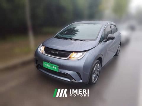 2026 BYD Dolphin 420km Freedom Edition