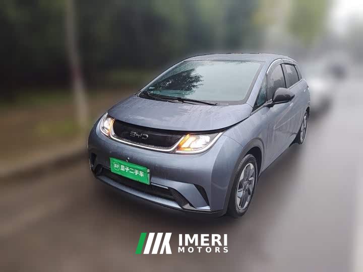 BYD Dolphin 420km Freedom Edition