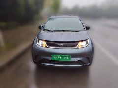 BYD Dolphin 2025 420km Freedom Edition - ფოტო 2