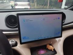 BYD Dolphin 2025 420km Freedom Edition - ფოტო 20