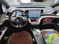 BYD Dolphin 2025 420km Freedom Edition - ფოტო 5