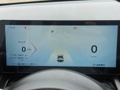 Wuling Binguo PLUS 2024 510km Flagship Four-Seater - ფოტო 15
