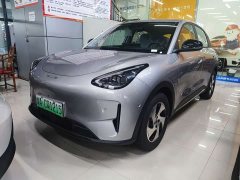 Geely Star Wish 480km Explorer Edition - ფოტო 1