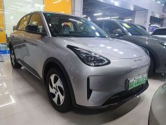 Geely Star Wish 480km Explorer Edition - ფოტო 2