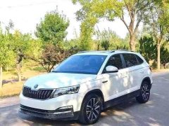 Skoda Comic 1.5L Automatic Comfort Edition - ფოტო 1
