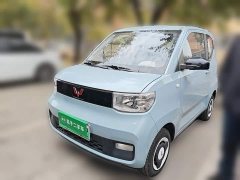 Wuling Hongguang MINIEV 2022 Easy Edition LFP Battery - ფოტო 1