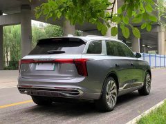 FAW Red Flag E-HS9 660km Range Flagship Edition Four-Seater - ფოტო 6