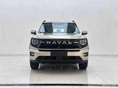 Haval Big Dog PLUS 1.5T Hi2 - ფოტო 2