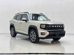 Haval Big Dog PLUS 1.5T Hi2 - ფოტო 3