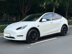 Tesla Model Y Long Range All-Wheel Drive 3D7 - ფოტო 1