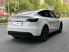 Tesla Model Y Long Range All-Wheel Drive 3D7 - ფოტო 10