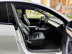 Tesla Model Y Long Range All-Wheel Drive 3D7 - ფოტო 11