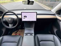 Tesla Model Y Long Range All-Wheel Drive 3D7 - ფოტო 13