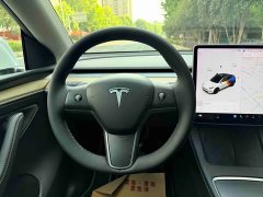 Tesla Model Y Long Range All-Wheel Drive 3D7 - ფოტო 14
