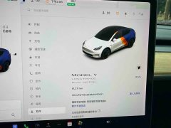Tesla Model Y Long Range All-Wheel Drive 3D7 - ფოტო 18