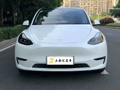 Tesla Model Y Long Range All-Wheel Drive 3D7 - ფოტო 2