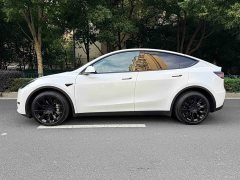 Tesla Model Y Long Range All-Wheel Drive 3D7 - ფოტო 5