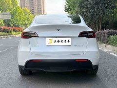 Tesla Model Y Long Range All-Wheel Drive 3D7 - ფოტო 9