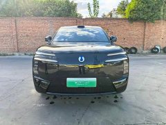 Denza BYD Denza N8L Flagship - ფოტო 3