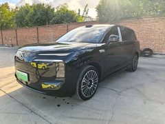 Denza BYD Denza N8L Flagship - ფოტო 4