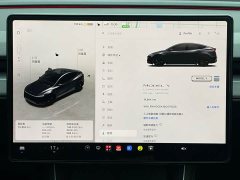 Tesla Model Y Facelift Long Range All-Wheel Drive - ფოტო 9