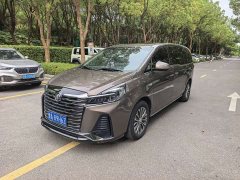 Buick GL8 Land Executive Cabin Premium - ფოტო 1