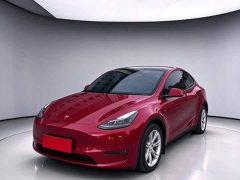 Tesla Model Y Long Range All-Wheel Drive - ფოტო 1