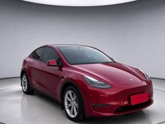 Tesla Model Y Long Range All-Wheel Drive - ფოტო 3
