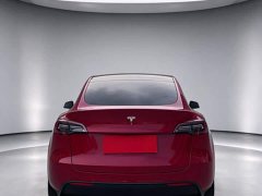 Tesla Model Y Long Range All-Wheel Drive - ფოტო 5