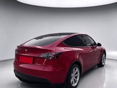 Tesla Model Y Long Range All-Wheel Drive - ფოტო 6