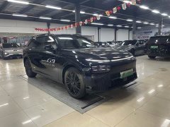 XPeng G9 725 Max - ფოტო 3