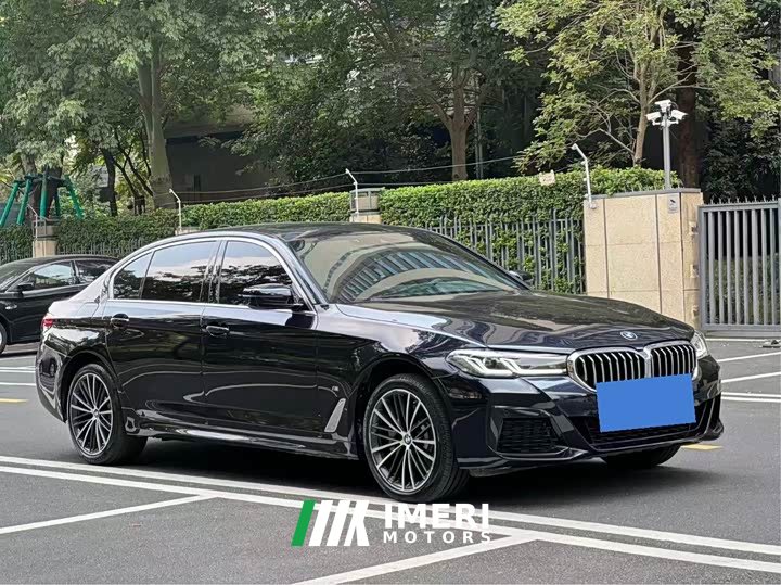 BMW 5 Series 530Li Premier M Sport Package - ავტომობილი ჩინეთიდან