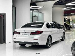 BMW 5 Series 530Li xDrive Luxury Package - ფოტო 11