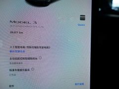 Tesla Model 3 Standard Range RWD Upgrade - ფოტო 7