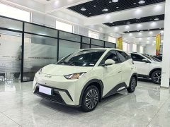 BYD Seagull Glory Edition 305km Vitality Version - ფოტო 1