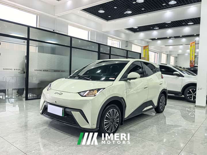 BYD Seagull Glory Edition 305km Vitality Version