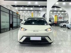 BYD Seagull Glory Edition 305km Vitality Version - ფოტო 2