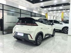 BYD Seagull Glory Edition 305km Vitality Version - ფოტო 7