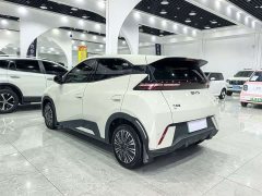 BYD Seagull Glory Edition 305km Vitality Version - ფოტო 9
